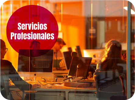 Servicios Profesionales